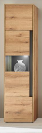 Vitrine Center in Evoke Eiche und grau Vitrinenschrank 50 x 197 cm