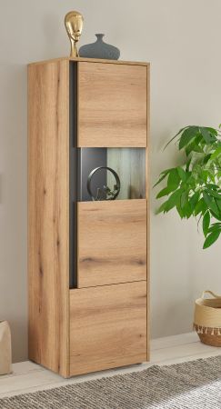 Vitrine Center in Evoke Eiche und grau Vitrinenschrank 50 x 155 cm