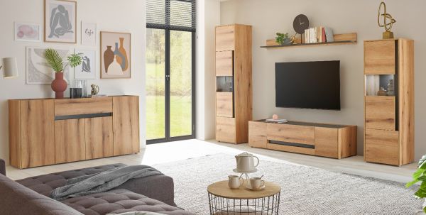 TV-Lowboard Center in Evoke Eiche und grau TV Unterteil 170 cm