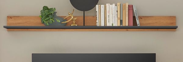 Wandboard Center in Evoke Eiche und grau Wandregal 170 x 15 cm