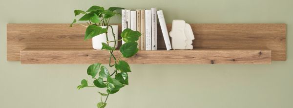 Wandboard Design-D in Evoke Eiche Wandregal 150 cm