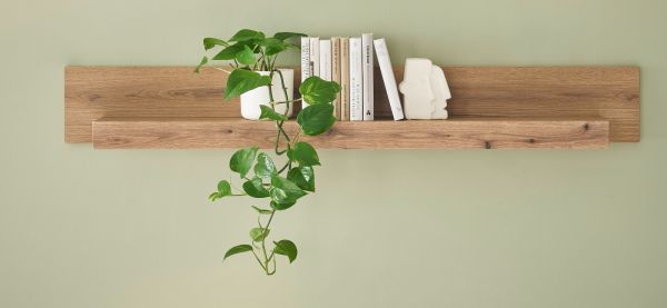 Wandboard Design-D in Evoke Eiche Wandregal 150 cm