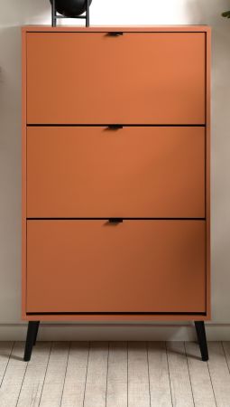 Schuhschrank Aldan in Terracotta Schuhkipper 70 x 125 cm