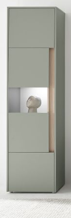 Vitrine Center in Salbei und Barista Eiche Vitrinenschrank 50 x 197 cm