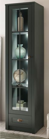 Vitrine Forres in Gr�n Landhaus Wohn- und Esszimmer Vitrinenschrank 50 x 197 cm