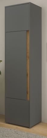 Aktenschrank Center in grau matt und Wotan Eiche Stauraumschrank f�r Homeoffice und B�ro 50 x 200 cm