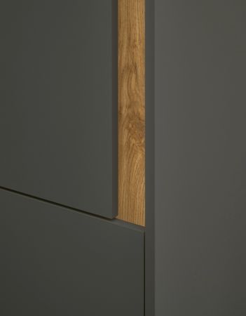 Aktenschrank Center in grau matt und Wotan Eiche Stauraumschrank f�r Homeoffice und B�ro 50 x 200 cm
