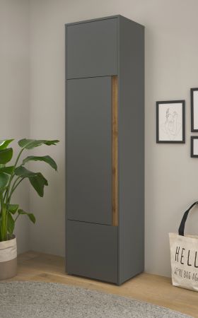 Aktenschrank Center in grau matt und Wotan Eiche Stauraumschrank f�r Homeoffice und B�ro 50 x 200 cm