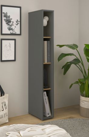 Aktenregal Center in grau matt und Wotan Eiche Standregal f�r Homeoffice und B�ro 20 x 158 cm