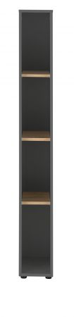 Aktenregal Center in grau matt und Wotan Eiche Standregal f�r Homeoffice und B�ro 20 x 158 cm