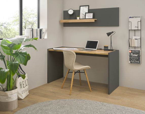 Schreibtisch Center in grau matt und Wotan Eiche Laptoptisch f�r Homeoffice und B�ro 143 x 62 cm