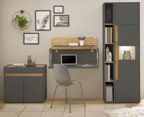 B�rom�bel komplett Set Center in grau matt und Wotan Eiche mit Aktenschrank, Sekret�r und Vitrine f�r Homeoffice