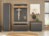 Garderobenpaneel Center in grau matt und Wotan Eiche Wandgarderobe 100 x 135 cm