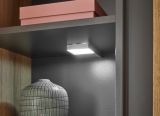 Vitrine Center in Evoke Eiche und grau Vitrinenschrank 50 x 155 cm