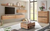 Wandboard Center in Evoke Eiche und grau Wandregal 170 x 15 cm