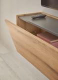 Wohnwand Center in Evoke Eiche und grau Set 4-teilig mit XXL-TV-Schrank 400 cm
