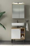 Badezimmer Spiegelschrank Torsby in Evoke Eiche Badschrank 2-t�rig 60 x 70 cm