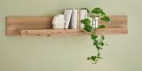 Wandboard Design-D in Evoke Eiche Wandregal 150 cm