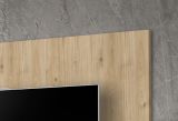 Wohnwand Option in Jackson Eiche Schrankwand 4-teilig h�ngend mit Ethanol Kamin und LED, 260 x 170 cm