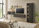 Aktenschrank Center in grau matt und Wotan Eiche Stauraumschrank f�r Homeoffice und B�ro 50 x 200 cm