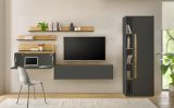 Wohnwand mit Sekret�r Center in grau matt und Wotan Eiche Wohnkombination 6-teilig 340 x 200 cm