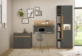 B�rom�bel komplett Set Center in grau matt und Wotan Eiche mit Aktenschrank, Sekret�r und Vitrine f�r Homeoffice