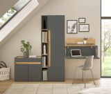 B�rom�bel komplett Set Center in grau matt und Wotan Eiche mit Aktenschrank, Sekret�r und Kommode f�r Homeoffice