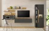 Aktenschrank Set Center in grau matt und Wotan Eiche Vitrine und Regal f�r Homeoffice 70 x 200 cm