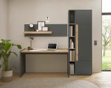 B�rom�bel Set Center in grau matt und Wotan Eiche mit Schreibtisch und Regal f�r Homeoffice