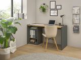 B�rom�bel Set Center in grau matt und Wotan Eiche mit Schreibtisch und Container