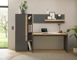 B�rom�bel Set Center in grau matt und Wotan Eiche mit Schreibtisch, Aktenschrank und 2 x Regal f�r Homeoffice