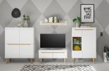 TV-Lowboard Isgard in wei� matt und Scandi Eiche TV Unterteil skandinavisch 107 x 50 cm