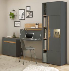 B�rom�bel komplett Set Center in grau matt und Wotan Eiche mit Aktenschrank, Sekret�r und Vitrine f�r Homeoffice